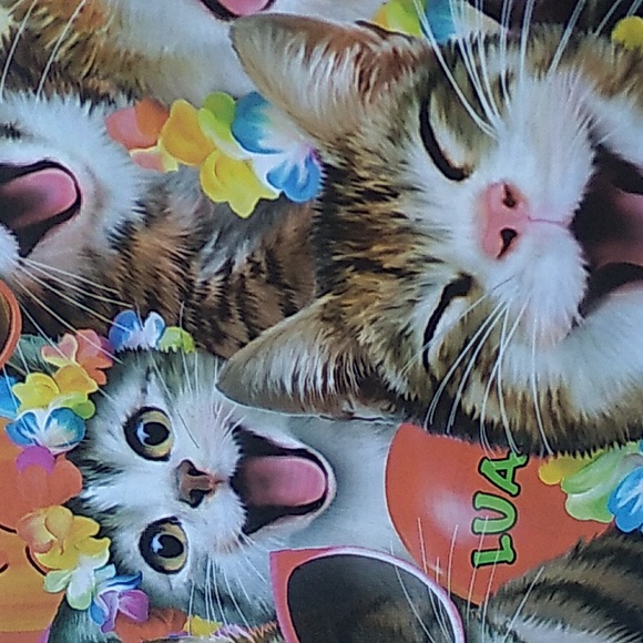 Cat poster funny cats - Picture 2 of 2